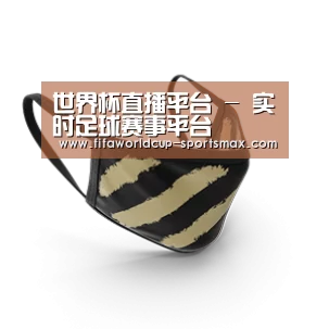成人布口罩
