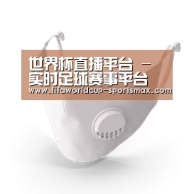 N95 口罩