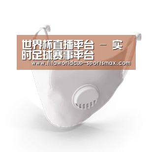 N95 口罩
