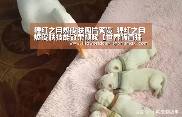 猩红之月烬皮肤图片预览 猩红之月烬皮肤技能效果视频【世界杯直播平台】