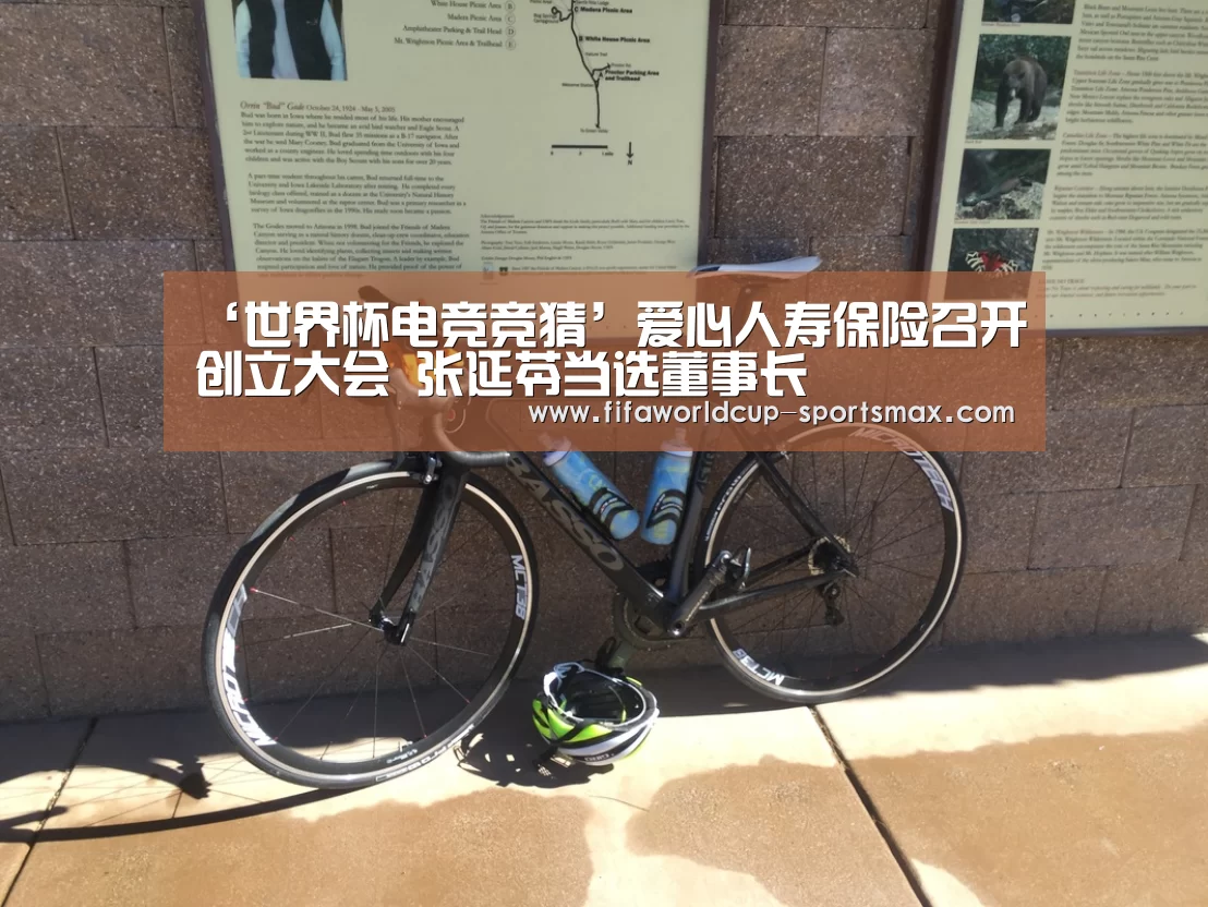 ‘世界杯电竞竞猜’爱心人寿保险召开创立大会 张延苓当选董事长(图2) 世界杯直播平台