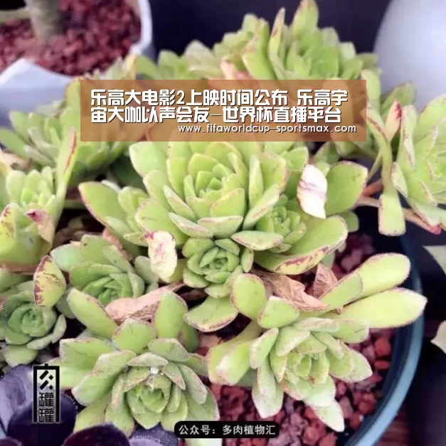 乐高大电影2上映时间公布 乐高宇宙大咖以声会友-世界杯直播平台