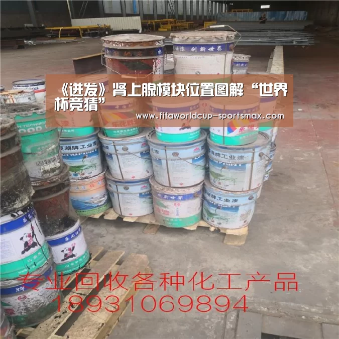 《迸发》肾上腺模块位置图解“世界杯竞猜”(图2) 世界杯电竞竞猜